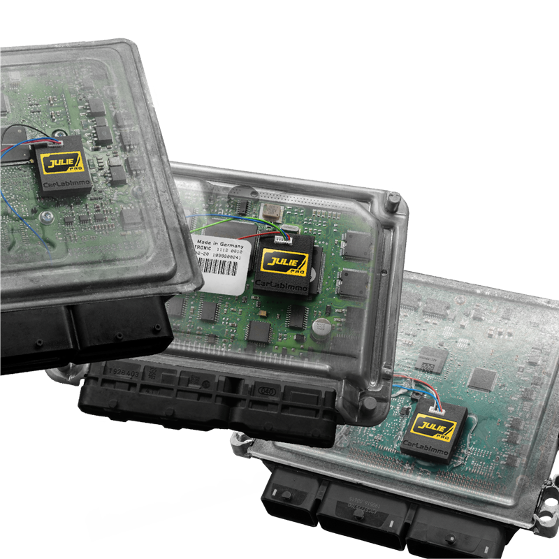 julie-pro-ecus-transparent